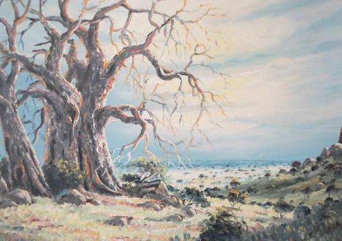 Paul Potgieter - Baobab Tree - Stunning painting!! Bid now!!